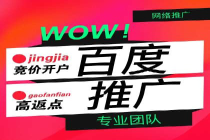 百度竞价排名机制：成功案例与策略探讨
